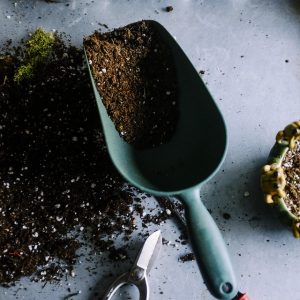 potting soil