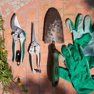 garden supplies