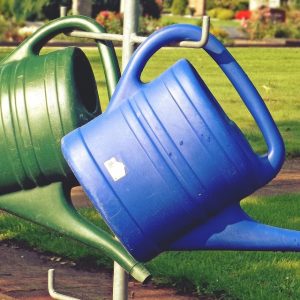 two watering cans